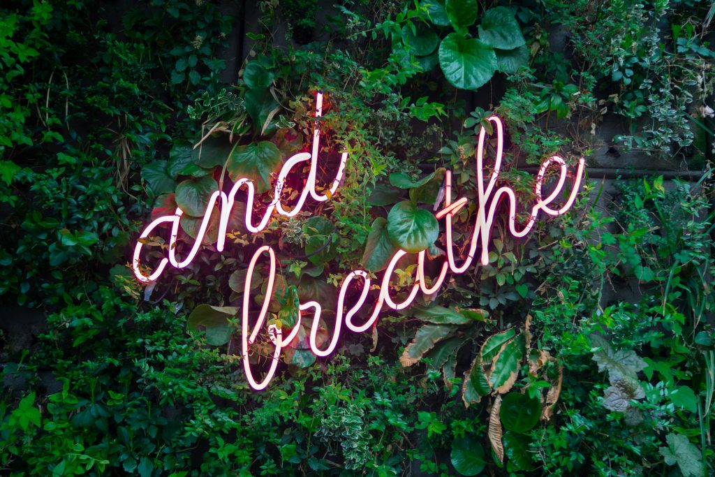 "And breathe" words written in cursive with leaves as background; self-care